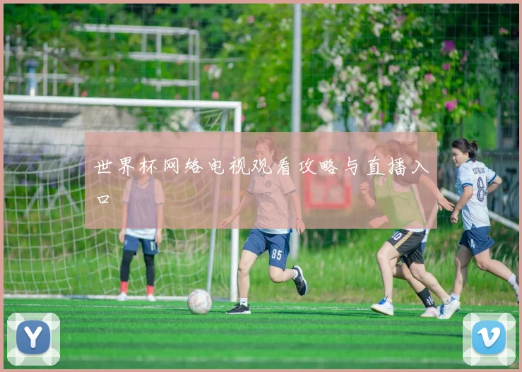 世界杯网络电视观看攻略与直播入口