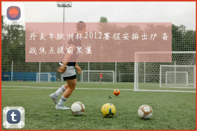丹麦年欧洲杯2012赛程安排出炉 备战焦点提前聚集