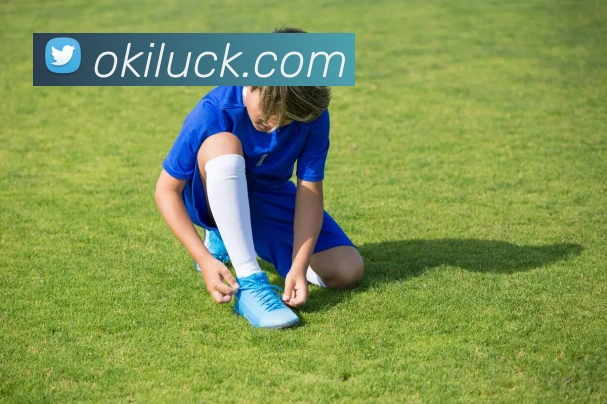 emc易倍官网登录服务体系